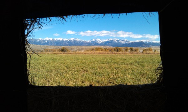 View From Inside Haybale Blind