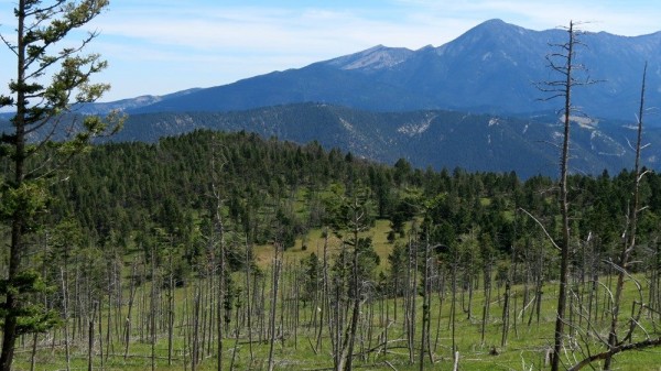 New Elk Hunting Leases