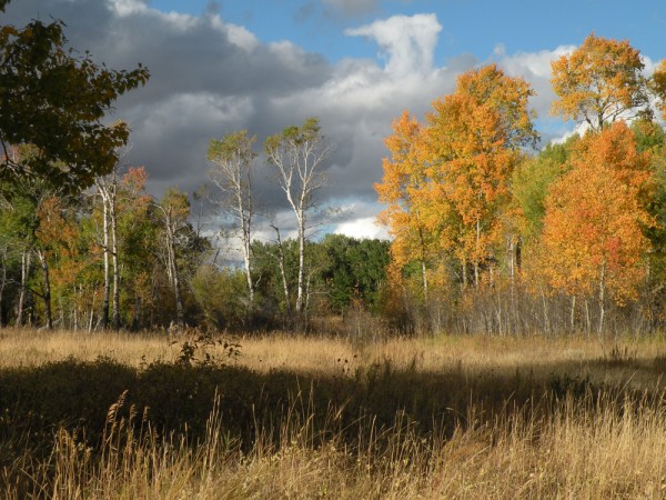 Montana Scenery