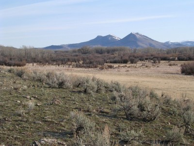 Deer Sign, & River Bottom Photos