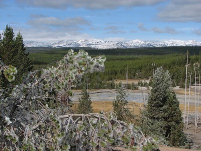 Yellowstone Park Photos