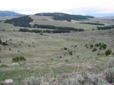 View Overlooking Some Elk Ground