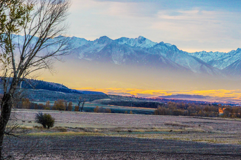 Montana Scenery