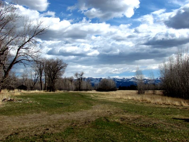 2015 Spring In Montana