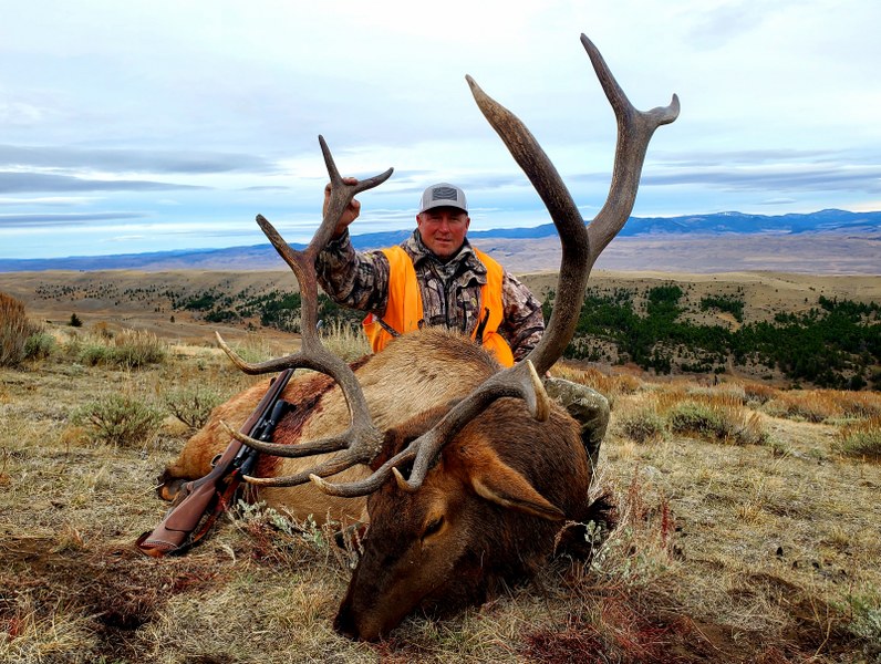 Elk Hunt Montana
