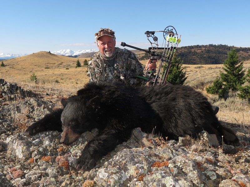 Montana Bear Hunts
