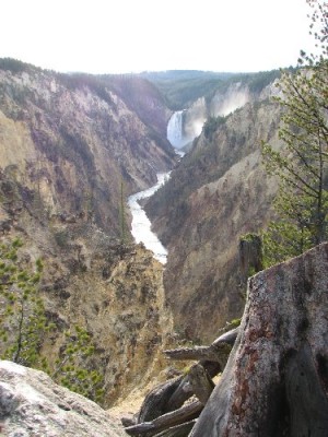 Yellowstone Park Photos