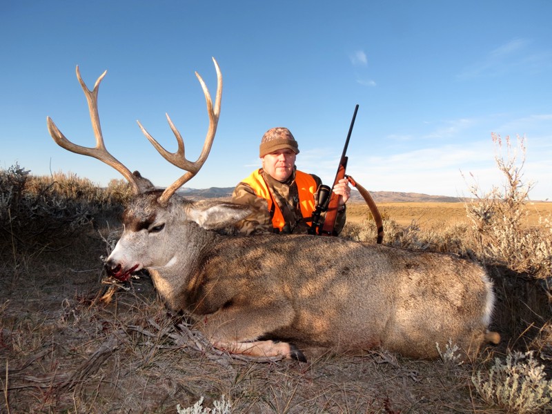 2016 Montana Mule Deer 2