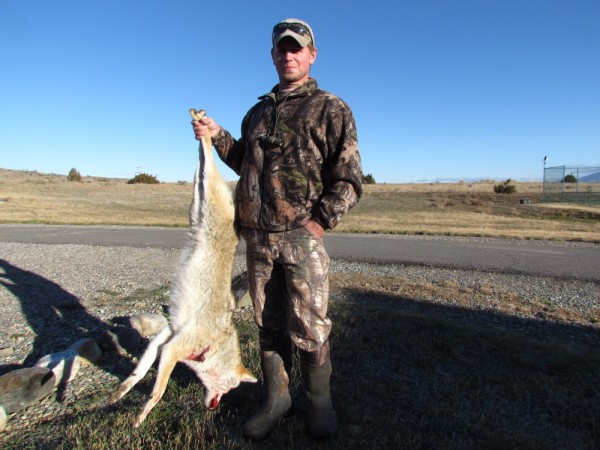 Montana Coyote Hunts