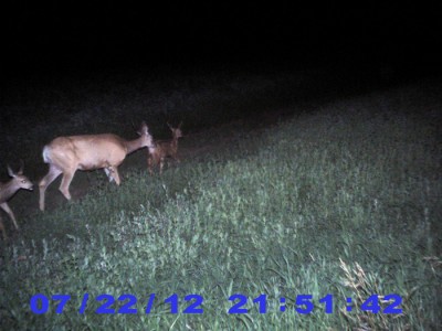 2012 Pre Season Trail Camera