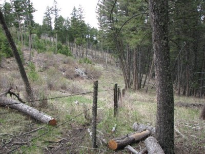 New Elk Hunting Leases