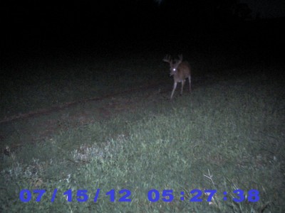 2012 Pre Season Trail Camera