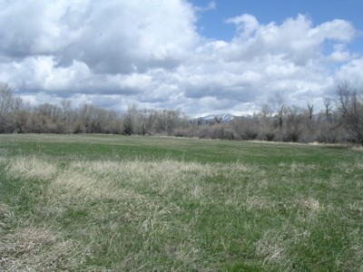 Deer Sign, & River Bottom Photos