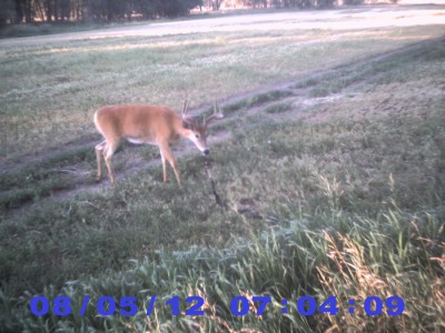 2012 Pre Season Trail Camera