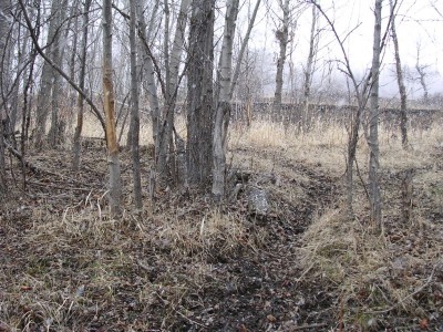 Deer Trail w/rubs