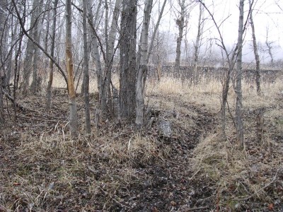 Deer Sign, & River Bottom Photos