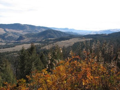 Yellowstone Park Photos