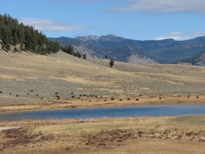 Yellowstone Park Photos