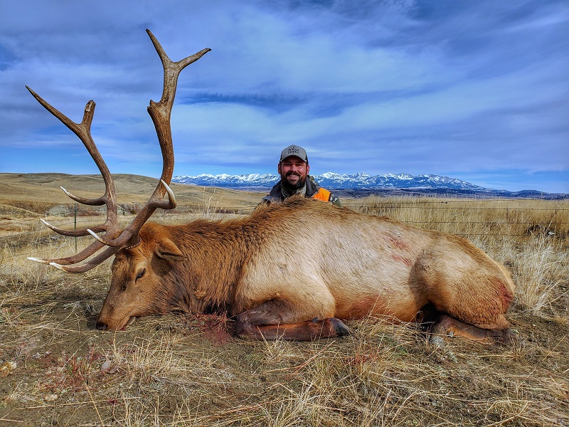 Montana Elk Trips