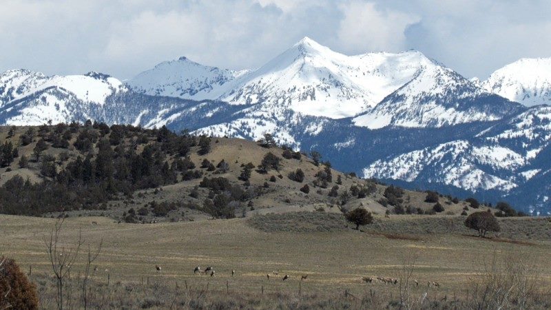 2015 Spring In Montana