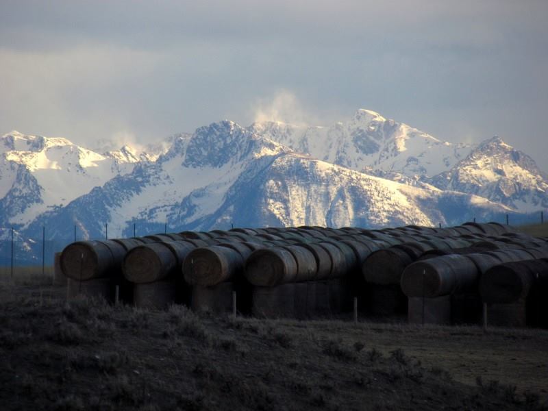 2015 Spring In Montana