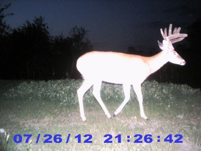 2012 Pre Season Trail Camera