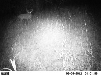 2012 Pre Season Trail Camera