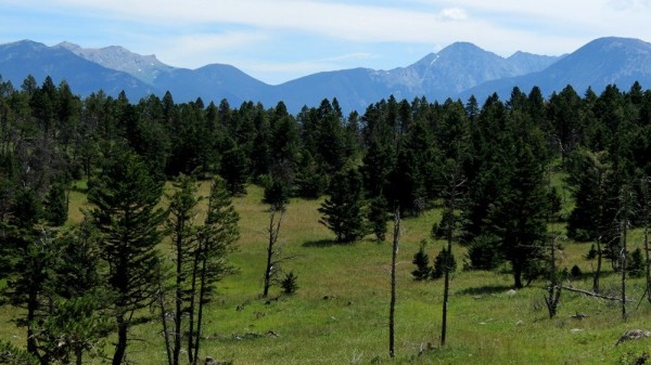 Elk Hunting Private Land In Montana
