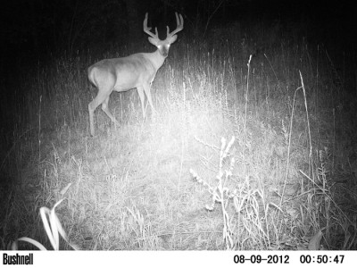 2012 Pre Season Trail Camera