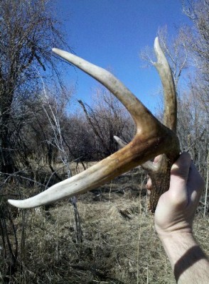 2011 Shed Hunting