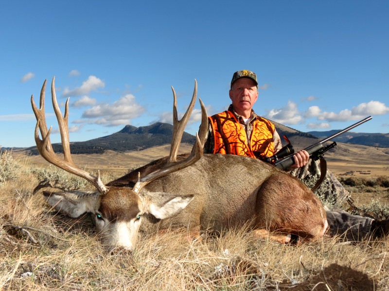 2016 Montana Mule Deer 1