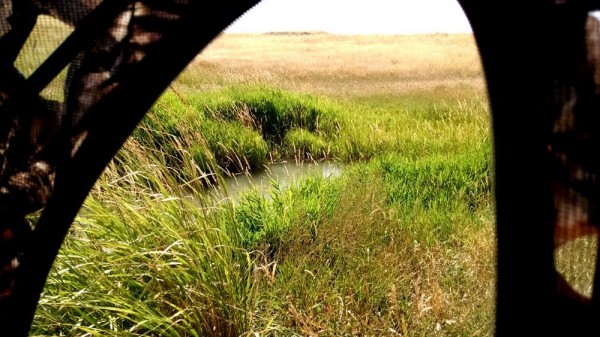 View From Antelope Hunting Blind