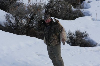 Montana Coyote Hunts