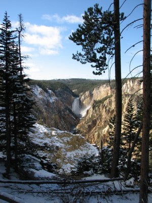 Yellowstone Park Photos