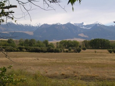 Deer Sign, & River Bottom Photos