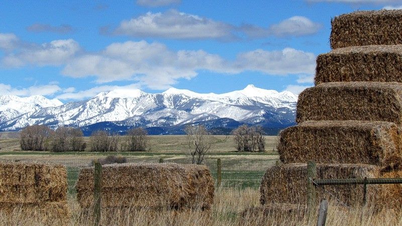 2015 Spring In Montana