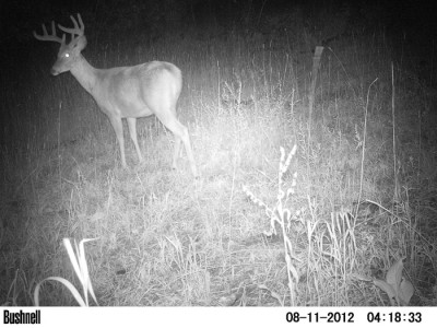 2012 Pre Season Trail Camera