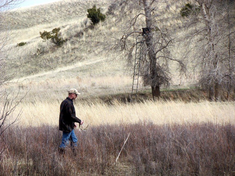 2015 Spring In Montana