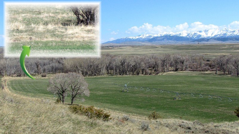 2015 Spring In Montana