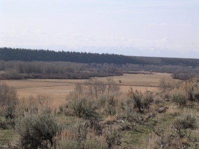 Deer Sign, & River Bottom Photos