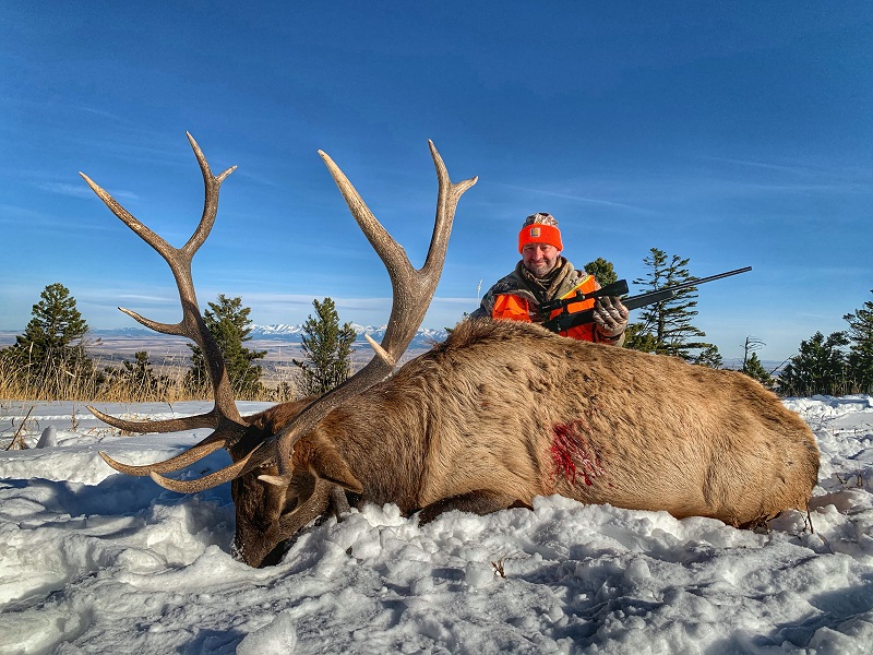Bull Elk Hunts 1