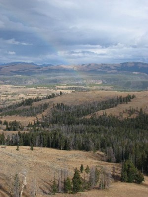 Yellowstone Park Photos