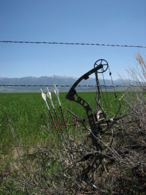 Archery Gopher Hunting