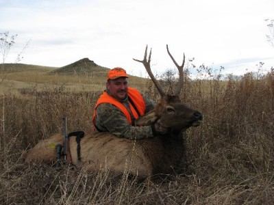 John Shomper Elk 2006