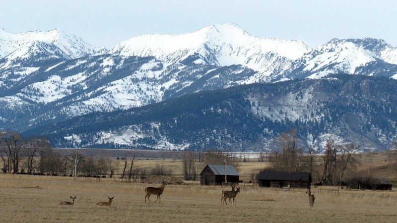 2015 Spring In Montana