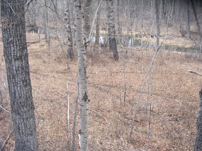 Deer Trails