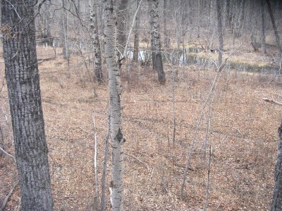 Deer Sign, & River Bottom Photos