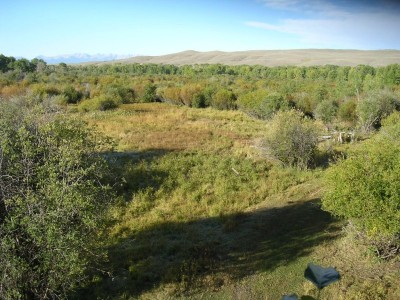 View From Treestand 1