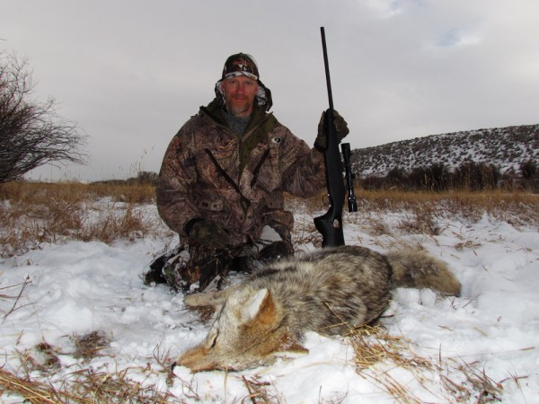 Coyote Hunting In Montana