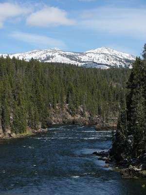 Yellowstone Park Photos